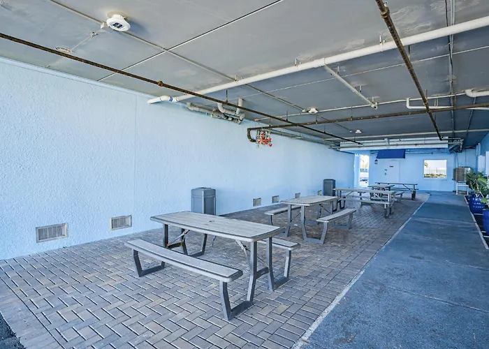 Dollar 305 Apartment *